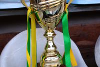 Фінал ДЮФЛІФО U-14, 06.06.2025
